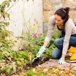 5 fall gardening can offer significant advantages